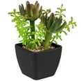 thumbnail image 3 of Northlight Potted Artificial Succulent Arrangement - 6", 3 of 7