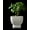 Mint, variant on Connect Planter Pot, Mint, Desk & Shelf Planter, Home Office Decor
