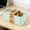 Green, variant on Lunch Box,4-Laye Lraege Capacity Bento Box , Food Storage Container, Portable Microwave Meal Prep Container for Work Picnic, Eco Friendly Reusable Lunch Containers with Lid
