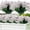 White, variant on GRNSHTS 24 Pcs Artificial Flowers for Outdoor,Plastic Flowers Decoration, UV Resistant Faux Flowers Shrubs, Artificial Plants for Indoor Outside Garden Home Wedding Farmhouse