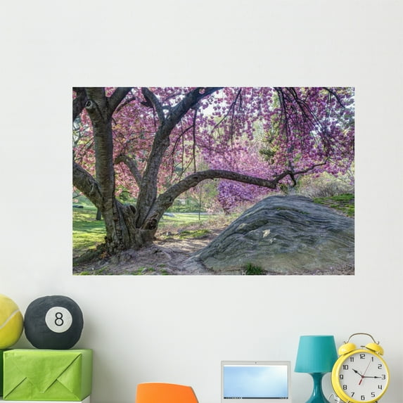 Central Park New York Wall Mural Decal Sticker, Wallmonkeys Peel & Stick Vinyl Graphic (48 in W x 32 in H)