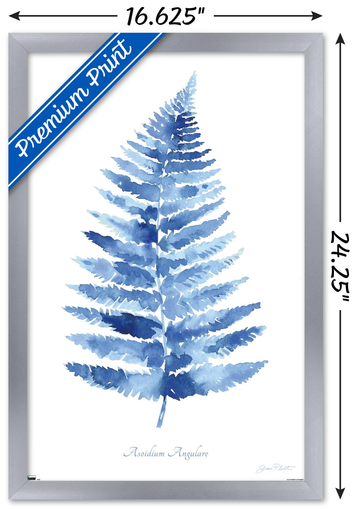 Jean Plout - Indigo Botanical Asoidium Angulare Wall Poster, 14.725" x 22.375" Framed