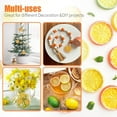 thumbnail image 6 of Simulation Lemon Slices,30Pcs Mini Simulation Fruit Slices for Kitchen Decor,QZS Portable Artificial Lemon Ornament for Photography Props,Festival Decoration (Green,Yellow,Orange), 6 of 6