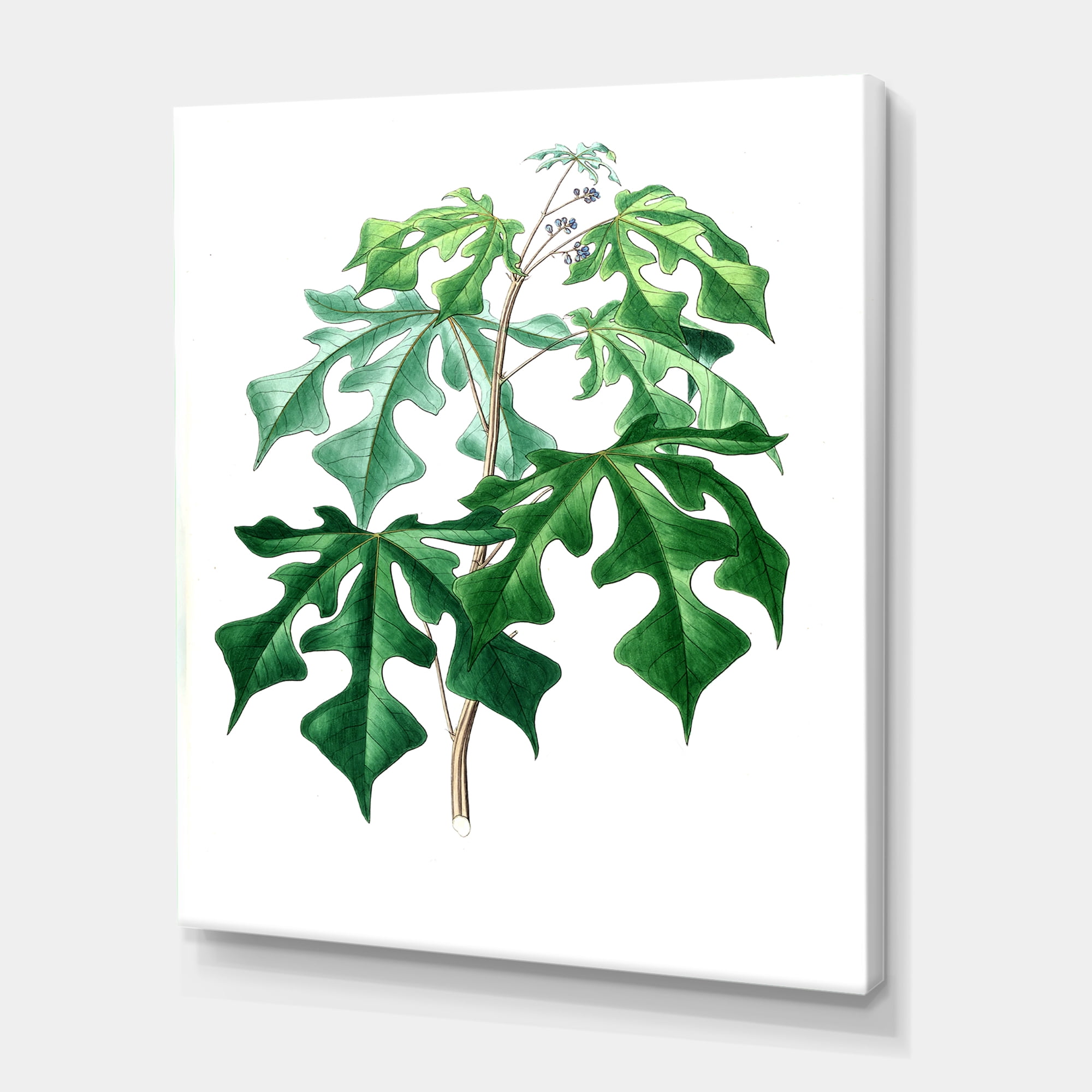 Designart ' Ancient Green Leaves Plants II ' Traditional Canvas Wall Art Print