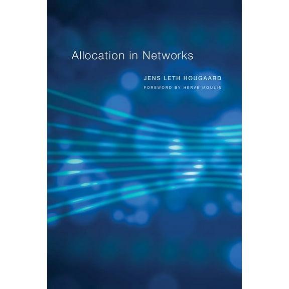 Allocation in Networks, (Hardcover)