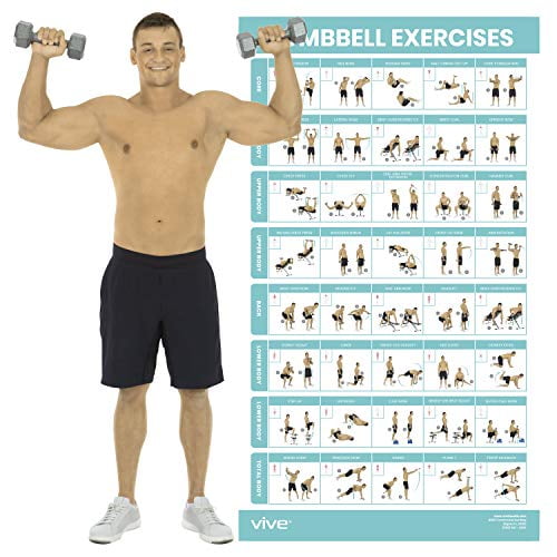 ABDOMINAL WORKOUT WALL CHART Professional Fitness Training Gym POSTER 