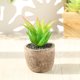 thumbnail image 5 of Gwong Decoración hogareña Planta artificial simulada Fácil de cuidar PVC Mini surtido Falso Falso Suculento Falso Potted para el hogar Gwong 21083477, 5 of 6