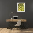 thumbnail image 3 of Pinto, Patricia 26x32 White Modern Wood Framed Museum Art Print Titled - Tropical Leaf II, 3 of 4