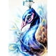 thumbnail image 1 of Cuadros Decorativos (DF3809) Kit de mosaico de punto de cruz de pavo real con pintura de diamante de taladro completo 5D DIY (1641) 40x50cm Ndcxsfigh Nuevos Originales, 1 of 1