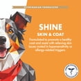 thumbnail image 2 of TruHealth Pet Shine Skin + Coat Supplement Soft-Chews for Dogs, 90 Count Bag, 8 oz., 2 of 10