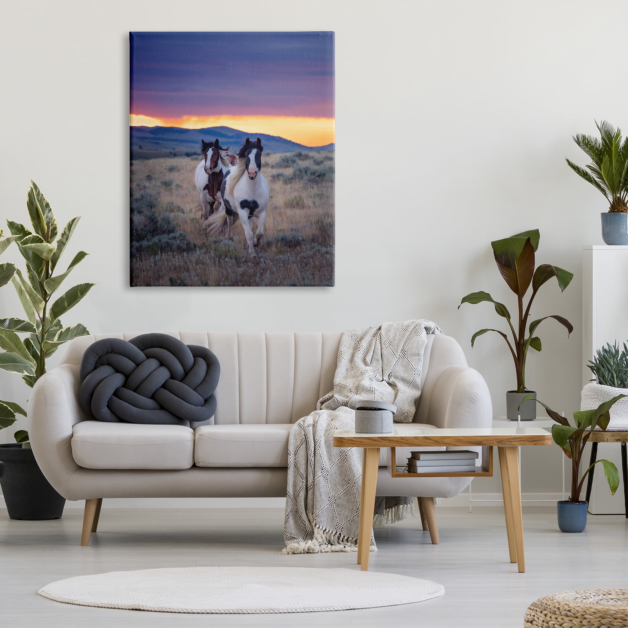 Stupell Industries Spotted Horses at Sunrise Animals & Insects Photography Gallery Wrapped Canvas Art Print Wall Art, 36 x 48