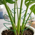 thumbnail image 4 of Iron Plants Support Stakes, 6.29"x5.51" Heavy Duty Garden Trellis for Climbing Plants, Monstera Stabilizer, Pothos Holder, Rust-Resistant Metal, 4 of 6