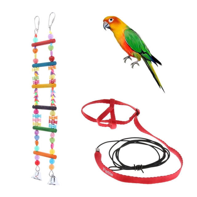 Correa ajustable para arnés de pájaro , cuerda de entrenamiento anti- y juguete colgante para pájaros con campana, juguete para Salvador Dali Correa del arnés del loro