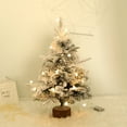 thumbnail image 2 of N Flocked Christmas Tree, Mini Tabletop Decor, Green Holiday Tree With Battery Light, Small Home Arrangement For Desk And Party - 23.6X13.8X13.8In 1.65Lb, 2 of 9