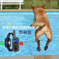 thumbnail image 2 of Dog Training Electric Collar with Remote Waterproof 2600ft LED Light Shock Beep Vibration(for 2 Dogs), 2 of 6