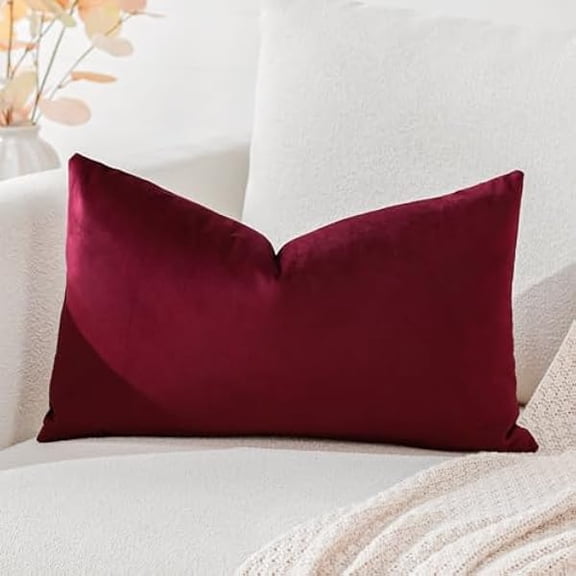 Eryueer Luxury Velvet Cushion Covers Super Soft Decorative Throw Pillow Covers Case Lumbar Cushion Cases for Sofa Couch Bedroom Car Decor 30x50cm Wine Red
