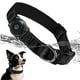 thumbnail image 1 of Collar para perros Furrigo mejorado con soporte para AirTag, impermeable, negro, 1 of 6