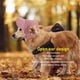 thumbnail image 3 of Sombrero Para Perro Sol Moda Casual Protección UV Transpirable Oreja, 3 of 8