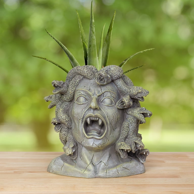 Darware Resin Medusa Head Planter, Large Garden Decor Statue, 10.5