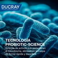 thumbnail image 2 of DUCRAY, Kelual Squanorm Shampoo Tratante, Para Caspa Grasa, Limpieza Reguladora y Anticaspa, 200 ml, 2 of 5