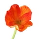 thumbnail image 4 of 10 Pcs Flores Artificiales de Amapola para Banquete de Boda Hogar y Decoración de Jardín Oficina Casa de Café Fotografía naranja Baoblaze Decoración de mesa de oficina en casa, 4 of 6
