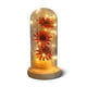 thumbnail image 1 of Flor de luz LED Botella decorativa Lámpara seca Preservada Mujeres Decoración de regalo Funciona con pilas Decoración romántica de la boda en el hogar Rosa Rojo Rojo Methold HA009077-02B, 1 of 6