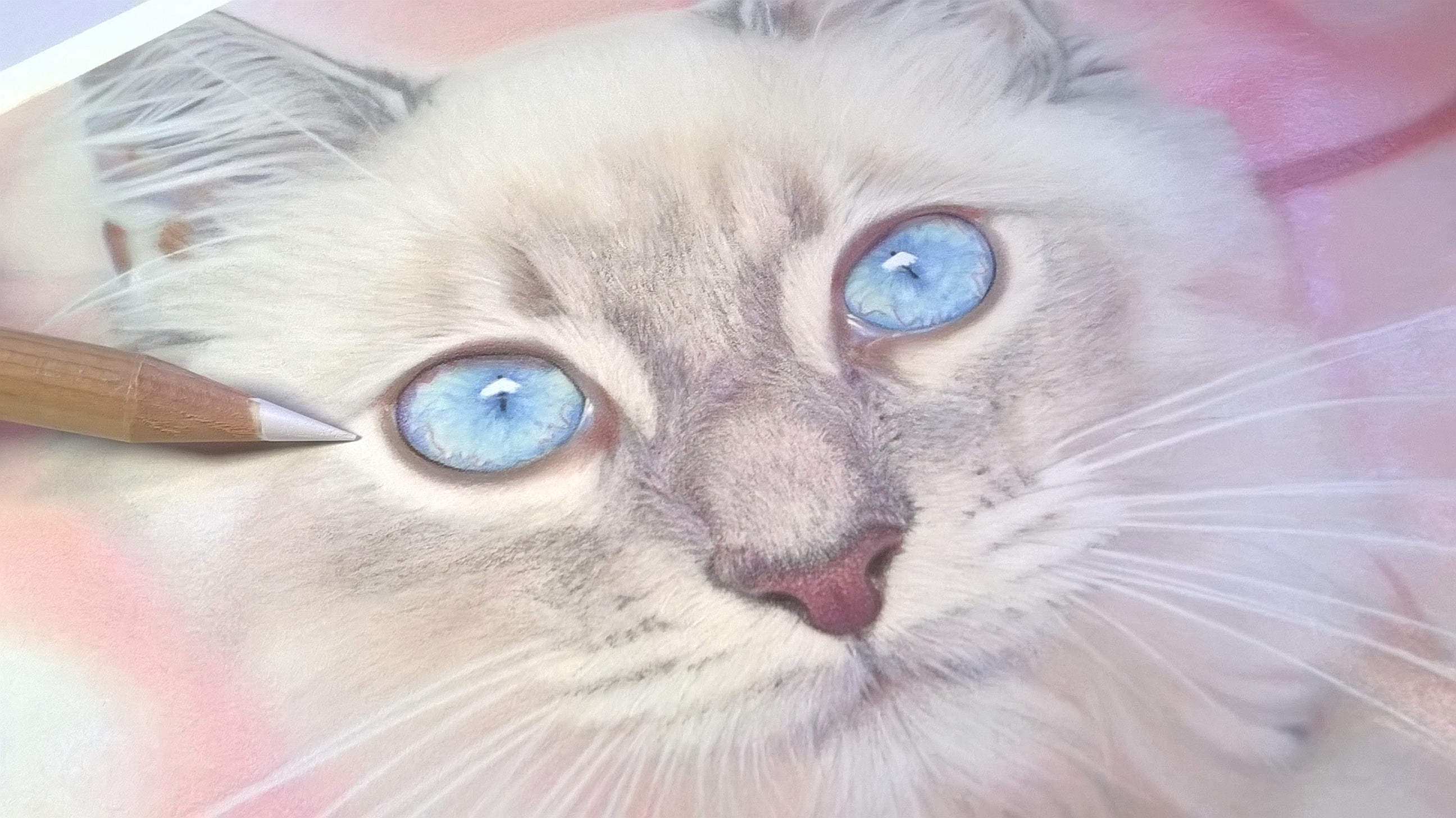Grizaye Drawing Kit: Pretty Kitty