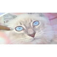 thumbnail image 3 of Grizaye Drawing Kit: Pretty Kitty, 3 of 3