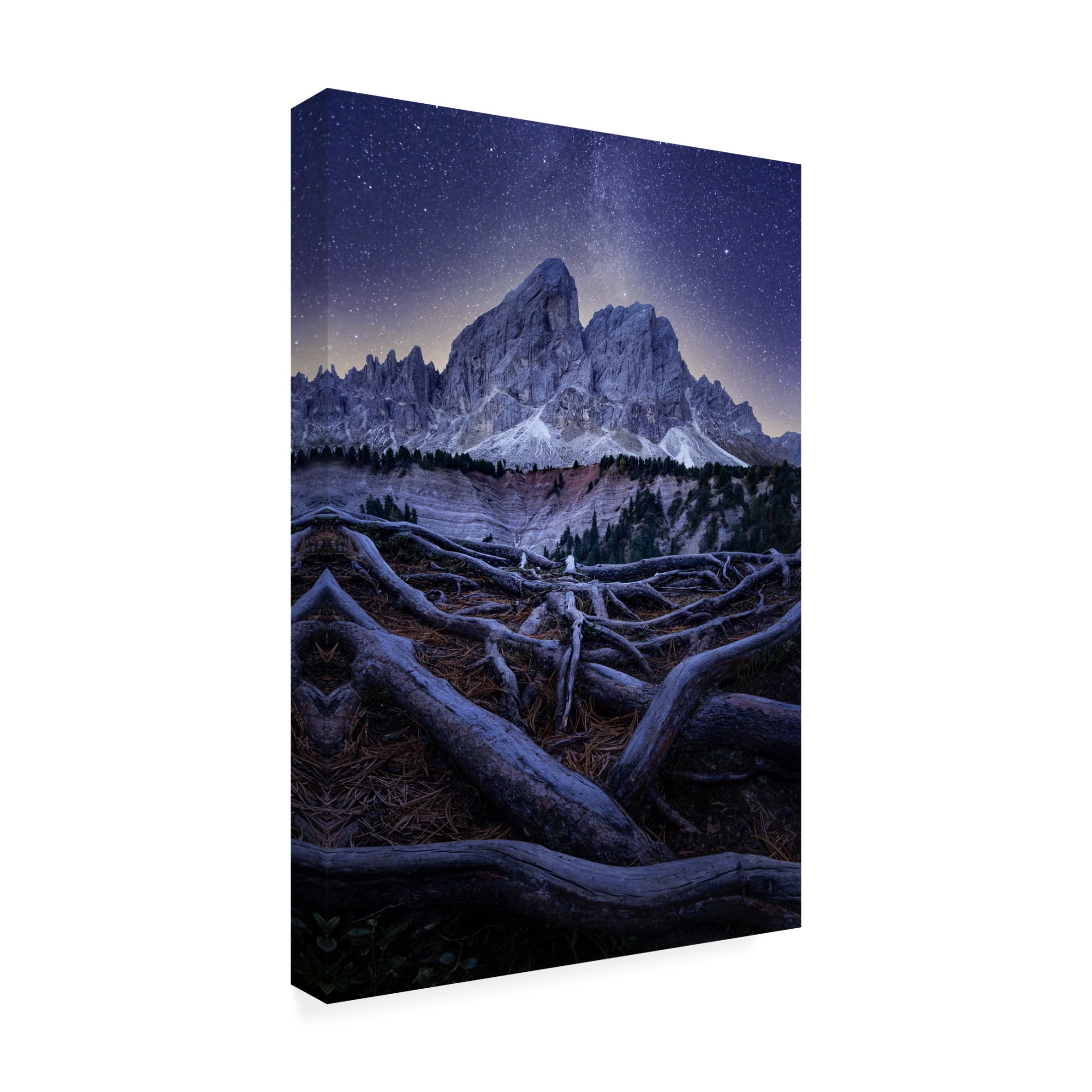 Trademark Fine Art David Ilkovic Wurzjoch Canvas Wall Art