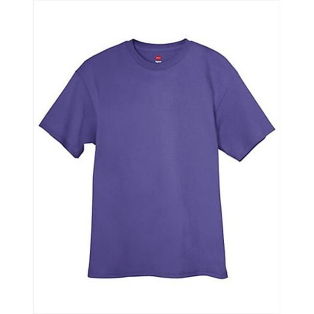 Hanes 5250 Tagless T-Shirt Purple Small