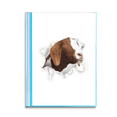 thumbnail image 1 of Animal Paper Breaking Shock Expressions Book Sheet Protectors Portfolio Binder Folder, 1 of 3