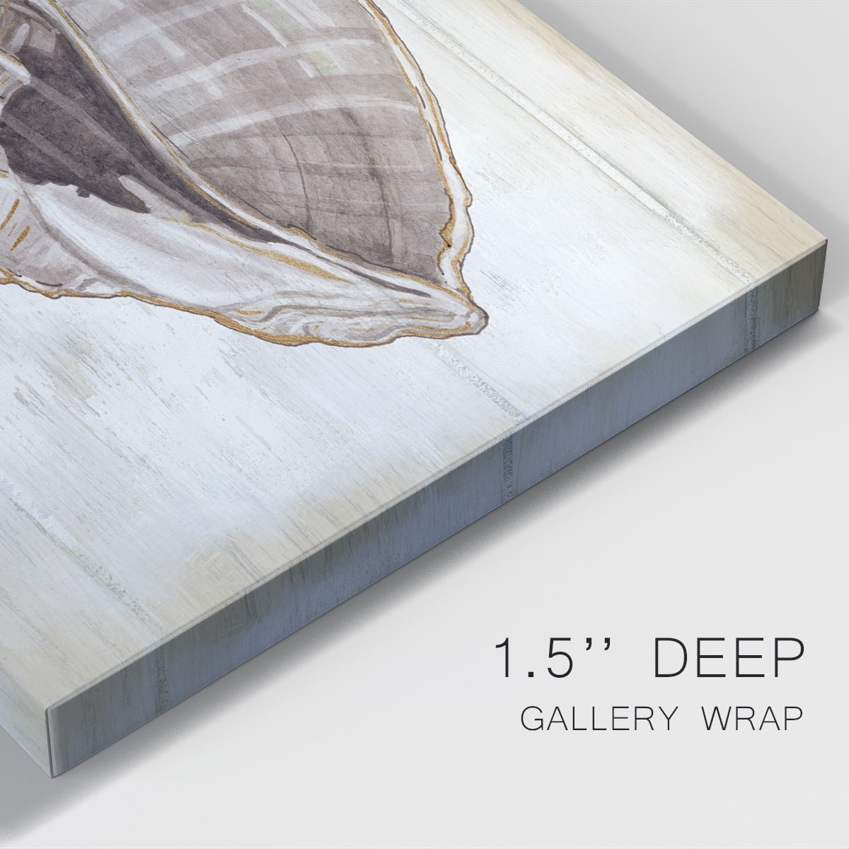 Ocean Cone II Premium Gallery Wrapped Canvas - Ready to Hang