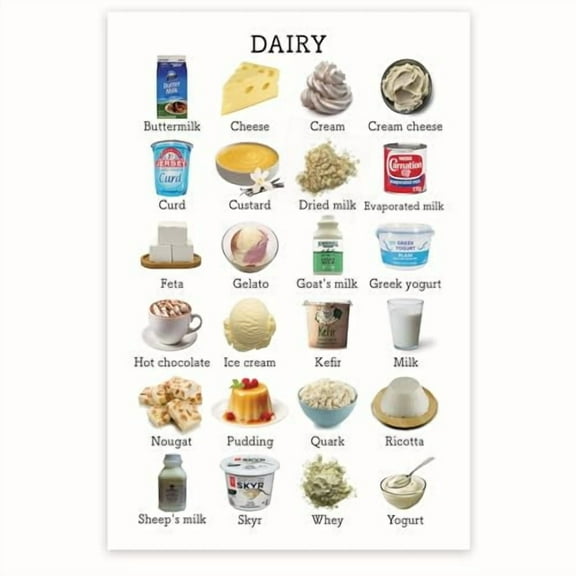 Bliss Monkey Co. Dairy Products Chart - Healthy Eating Nutrition - Dairy Food Groups - Dairy Food Facts - Food Pyramid 12 x 18 Inch Poster - Unframed - Premium 100lb Gloss - Made In USA - BMCP0465