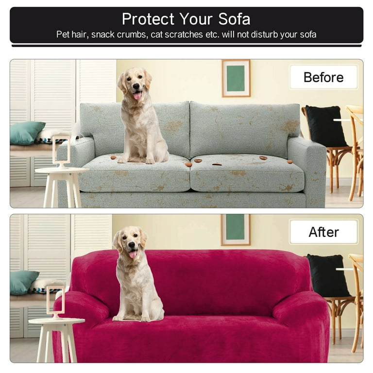 Dog hair couch cover sale