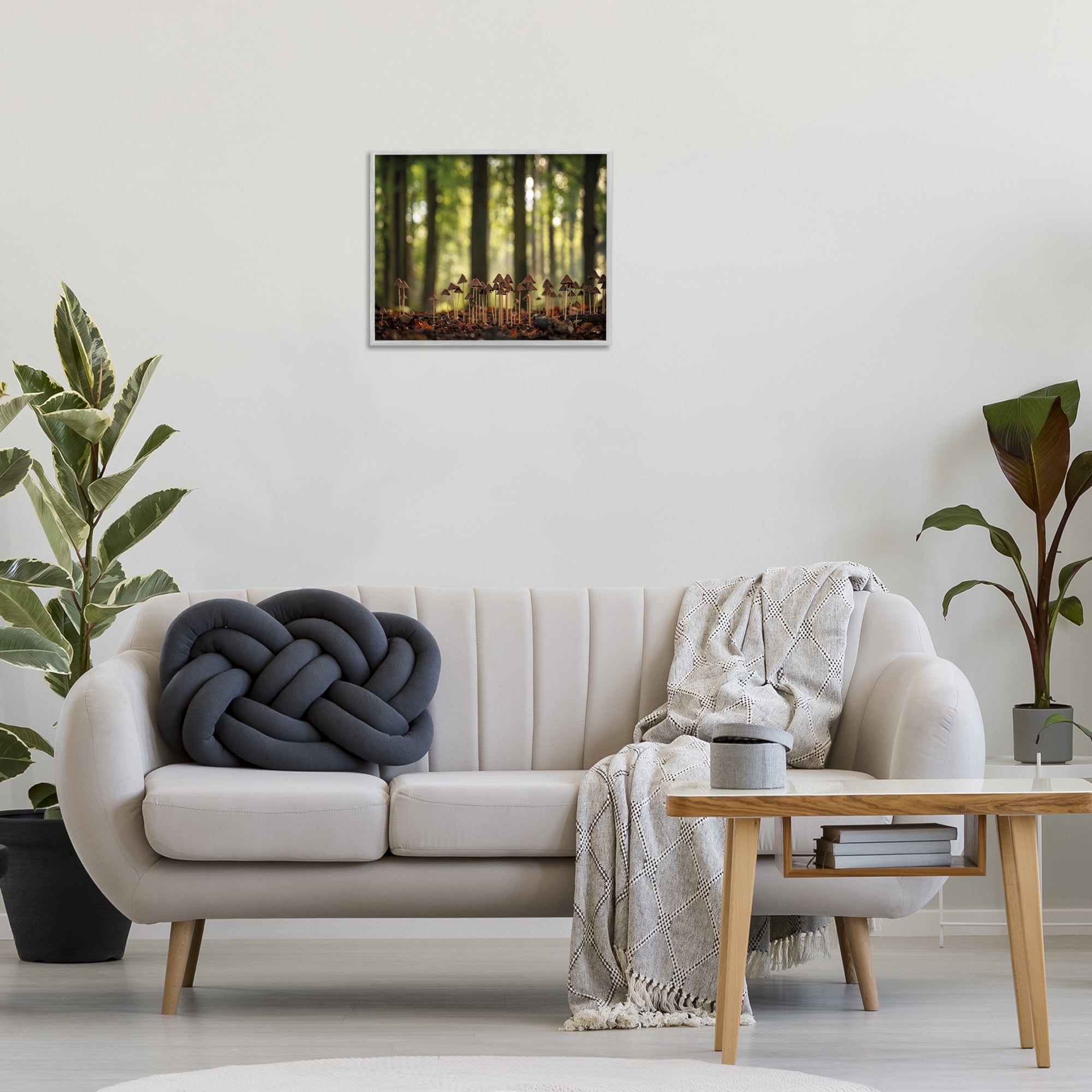 Stupell Industries Mushroom Sprouts in Forest Botanical & Floral Photography Gray Framed Art Print Wall Art, 20 x 16