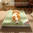 thumbnail image 1 of Colchoneta para dormir para mascotas, cama plegable para perros y gatos, desmontable, gruesa, suave (verde aguacate), 1 of 8