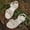 Beige, variant on Girls' Sandals Lightweight Open Toe Flower Sandals For Girls Kids Summer Beach Toddler Shoes Girls