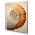 thumbnail image 2 of Designart "Curves Of Copper In Nautilus Spiral" Nautilus Canvas Wall Art, 2 of 7