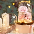 thumbnail image 4 of Infinity Rose Eternal Rose Flower Glass Cover with Led Light Preserved Real Infinity Glass Dome Romantic Home Decor Bedroom Light Long-lasting, 4 of 8