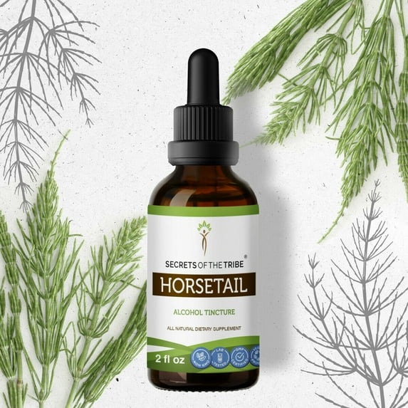 Horsetail Tincture Alcohol Extract, Organic Horsetail Equisetum arvense Healthy Skin, Hair and Nails 2 oz