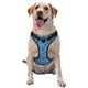 thumbnail image 1 of Balery Tennis Arnés para Perros Grandes Antitirones, Arnés con Correa para Gato, Arnés Tipo Chaleco para Perros Pequeños-Medium, 1 of 6
