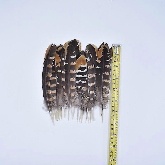 10pcs/lot Real Natural Eagle Feathers For Decoration Crafts Turkey Pheasant Bird Owl Feather Decor Plumes Accessories Carnival