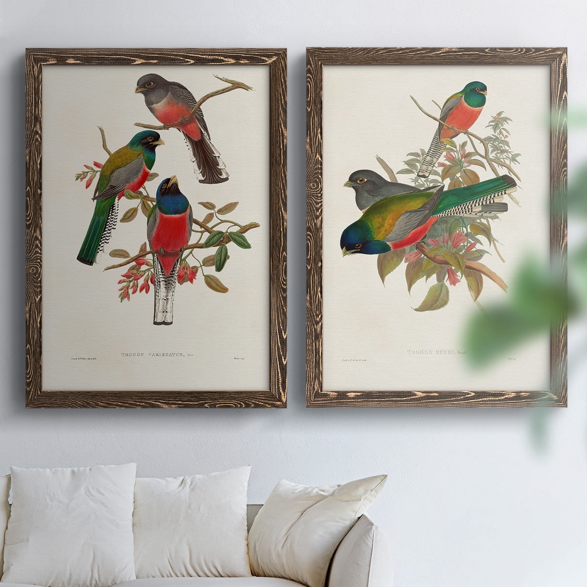 Elegant Trogons IX - Premium Framed Canvas 2 Piece Set - Ready to Hang