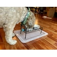 PetRageous Bone'n Up for Dinner 19.25 Inch Plastic Dog Tray, White