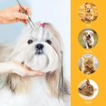 thumbnail image 1 of 1 Pack Tick Tweezers Tool Set Stainless Steel Tick Removers Kit for Cats and Dogs, 1 of 9
