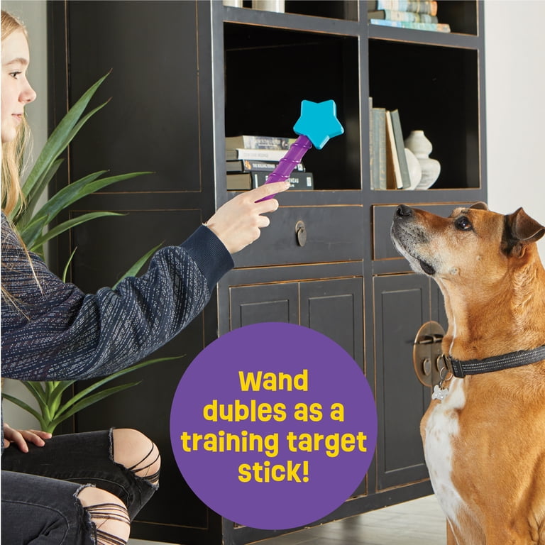 Brightkins Magic Wand Treat Dispenser: Star - Playful Dog Toy and