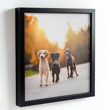 18x24 Black Picture Frames - Ready to Hang Solid Pine Wood Poster Frame - Photo Frame Polished Glass Front Clear Plexiglass Display Photograph - Hanging Hardware Included - Home wall Decor - 18 x 24