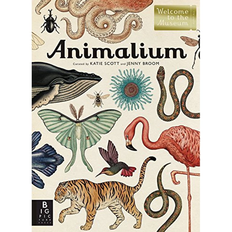 アート・デザイン・音楽 Animalium: Welcome to the Museum Welcome to the Museum Animalium: Welcome to the Museum, (Hardcover