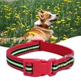 thumbnail image 4 of CSChome Collier pour Animaux Collier Réfléchissant Réglable Décoratif en Polyester avec Sangle Circulaire, 4 of 7