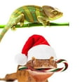 thumbnail image 3 of Lizard Harness Leash Set Soft Bearded Dragon Leash Lizard Walking Leash for Xmas, 3 of 10